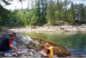 Island life around the cabin kept us busy for a few years