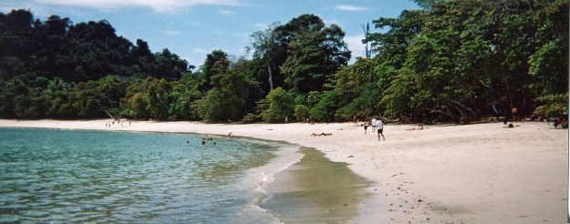 The beach at Manuel Antonio Park is busier than most we saw - and that means spunky monkeys!