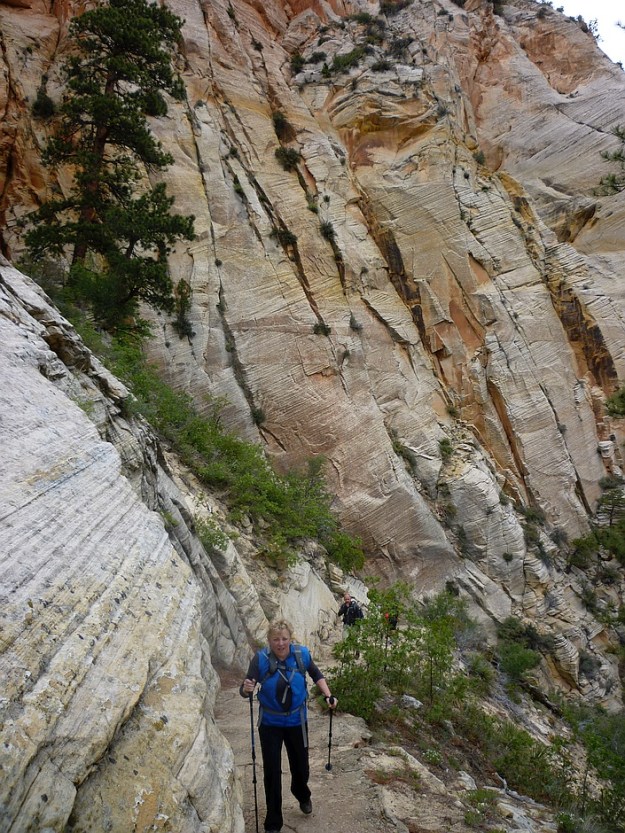 Observation Point climb