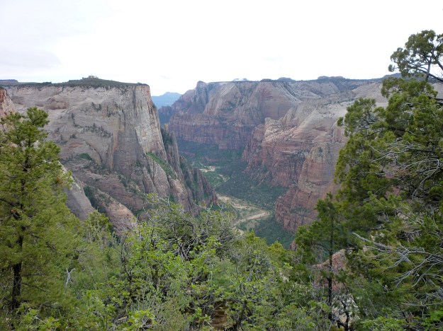 From Observation Point