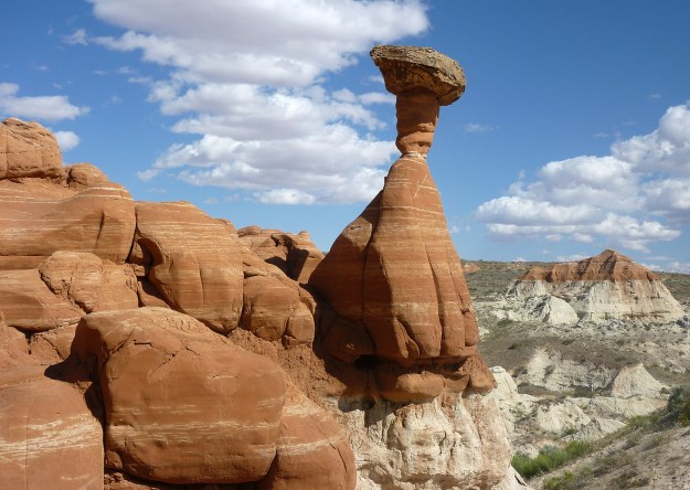 Toadstool Hoodoo